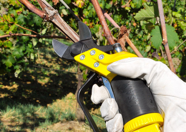 Секатор пневматический LISAM SLY DT